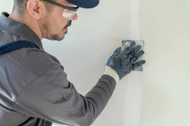 Fruita, CO Mold Removal Company