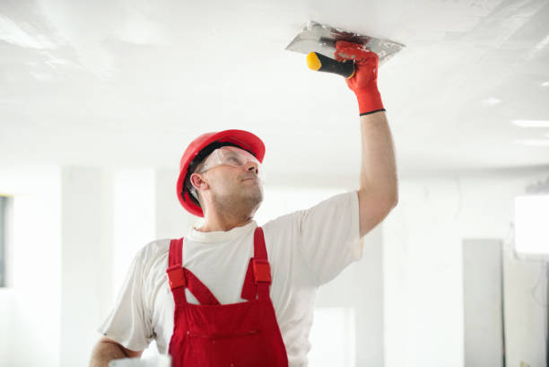 Best Commercial Mold Inspection  in Fruita, CO